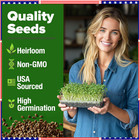 Broccoli Sprouting   Microgreens Seeds - 64 200 Non-gmo Heirloom