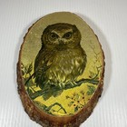 Vtg 70 s Owl Decoupage Wood Slice Wall Art Hanging Plaque