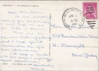 Vintage 1963 Postcard - The Cedars Of Lebanon  Rppc
