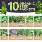 Organic Herb Seeds Variety Pack - 10 Individual Packs - 2026 Season - Basil  Cil