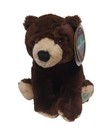 Fao Schwarz Planet Love Bear Plush Stuffed Animal Toy Eco Friendly Save Earth 
