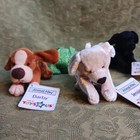 Toys R Us Animal Alley Mini Plush Lot Of 6 Jessie  Lickerish  Sable  Darby  Darl