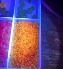 Rare Lot Of Vintage Cadmium Beads Made In Czechoslovakia Antique And Vtg