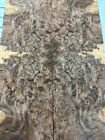Walnut Burl Raw Wood Veneer 2 Sheets 13   X 8   48l