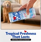 6 Pack Carpet Deodorizer Powder Pet Odor Eliminator Fresh Linen 17oz