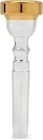 Bach 351 Classic Series Silver-plated Trumpet Mouthpiece With Gold-plated Rim -