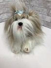 Animal Alley Shih Tzu Dog Plush White 8    Stuffed Animal Toy Nwt Boy Realistic
