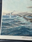 Willy Stower 1918 U-boat Breuzer World War I German Print 8x10 - Tcccx