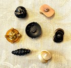 Interesting Lot Of 7 Vintage Extruded Spaghetti Celluloid Buttons   Knots Twists