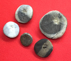 Florida Fossil Echinoid Sea Biscuit Unique Colors Crystalized Remote River Site