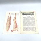 Vintage Whetting Uncle Sam s Appetite For Lamb Booklet National Wool Growers