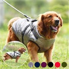 Small Dog Winter Coat Warm Hooded Puppy Jacket Pet Clothes