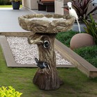 23 h Concrete Birdbath For Outdoor Garden With A Fake Bird Decor With Black Bird