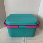 Vintage Eagle Craftstor Craft Sewing Storage Organizer Tote Bin Teal Purple Pink