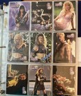 Huge Xena Warrior Princess Card Lot - See Description For List - In Binders