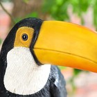 Resin Toucan Bird Figurine  Tropical Animal Statue  Desktop Sculpture home Decor