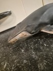 Schleich Retired Humpback Whale Plastic Figurine