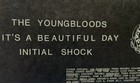 Youngbloods - Beautiful Day - Initial Shock -  family Dog  Avalon  Poster 20 14 
