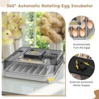 48 Egg Incubator For Hatching Chicken  Automatic Egg Turning Humidity Control