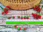 Red Mini Rose Bud Mulberry Paper Flower Artificial Tiny Roses For Crafts