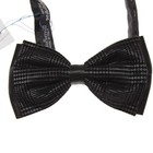 Italo Ferretti Nwt Pleated Cummerbund And Bow Tie Set In Black gray Plaid
