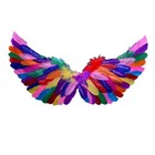 Angel Feather Wings Colorful Costume Accessories Photography Props Wedding Hallo