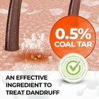 Medicasp Coal Tar Gel Dandruff Shampoo To Treat Seborrheic Dermatitis Psorias   