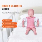 Baby Infarction Model Infant Airway Obstruction Training Manikin Cpr Teach