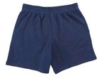 Reebok Bb Iverson Fleece Shorts Casual Informal Vector Navy Men s Shorts Size M