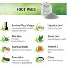 10 Pc Kinoki Cleansing Detox Foot Pads And Patches Fast Free Shipping    