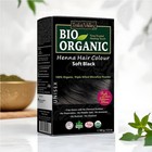 Indus Valley 100  Organic Henna Hair Color Soft Black 100g Natural Grey Cover