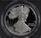 1989-s Proof Silver Eagle Pcgs Pr70dcam Fresh Holder Spot Free Tone Free Coin