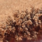 1 Lb Pure Copper- Natural Electrolysis Crystal Growth  9999 Fine Copper Bullion 