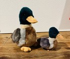Ty Beanie Baby And Ty Buddy Jake The Mallard Duck Set Of 2 