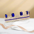 Audrey Descendants Crown descendant Crown princess Gold Crown halloween Costume