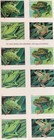 Full Booklet Of 20 Frog Forever Stamps Sc  5395-5398b Mnh