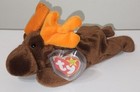 Ty Beanie Baby - Chocolate The Moose  9 Inch  New Mwmts Plush Stuffed Animal Toy