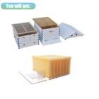 7x Auto Honey Hive Beehive Frames Beekeeping Franes Brood Cedarwood Boxes Set Us