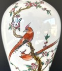 Chinese Hand Painted Porcelain Famille Rose Vase Birds Flowers Poem 11 1 2 