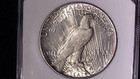 1928-p  1 Peace Dollar 90  Silver Philadelphia Low Mintage Key Date
