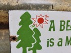 Vintage Us Forest Service Porcelain Sign Old Smokey Bear National Park No Fires