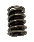 Performance Dual W damp Valve Springs 8 000 Max Rpm 1 550 Diameter Set Of 16 Sbc