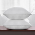 Oubonun 20 X 20 Throw Pillow Inserts  Firm And 2 Count  pack Of 1   White 