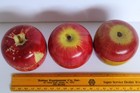  3  Vintage Japan Mid-century Turned Wood   Painted Apple Box