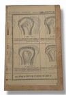 Antique Chart Cattle Teeth Age Veterinary Poster
