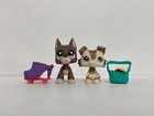 2pcs lot Littlest Pet Shop Figure Lps Dog  1519 2210 W 5pcs Accessories Toy