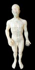Acupuncture Male Model 20  Human Acupoint Doll Chinese Medicine Learning