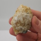 Ruck s Pit Calcite Clam Fossil - Mercenaria Permagna - Ft  Drum  Florida