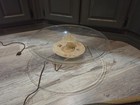 Extremely Rare Vtg Illuminated Table-top Fontanette    Adjustable Water Fountain