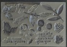 Retired Stampin  Up  Berry Blessings Stamp Set